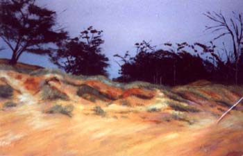 o.emubeach4